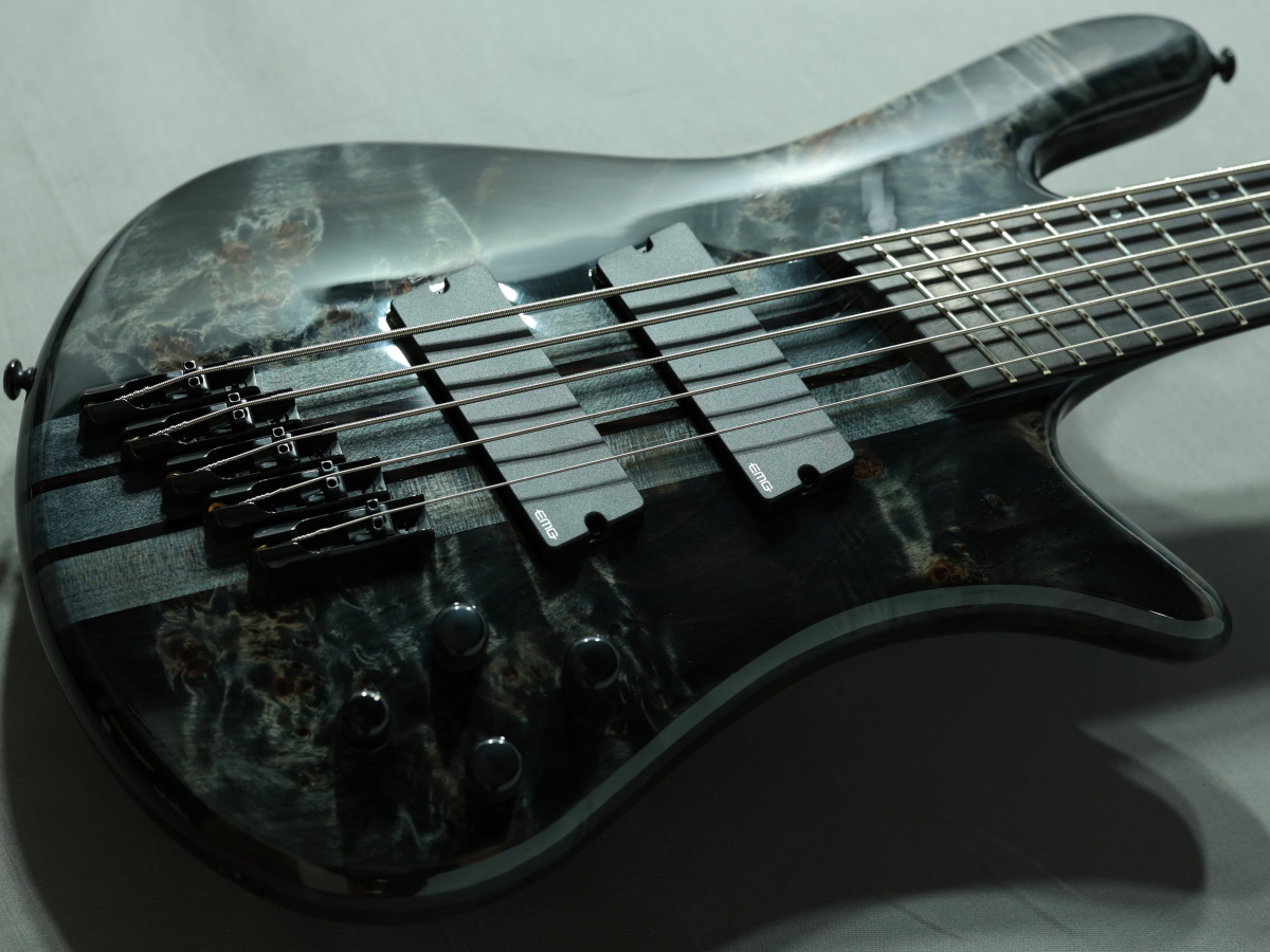 Spector NS Dimension MS 5 Gloss EE Translucent Black【5弦 