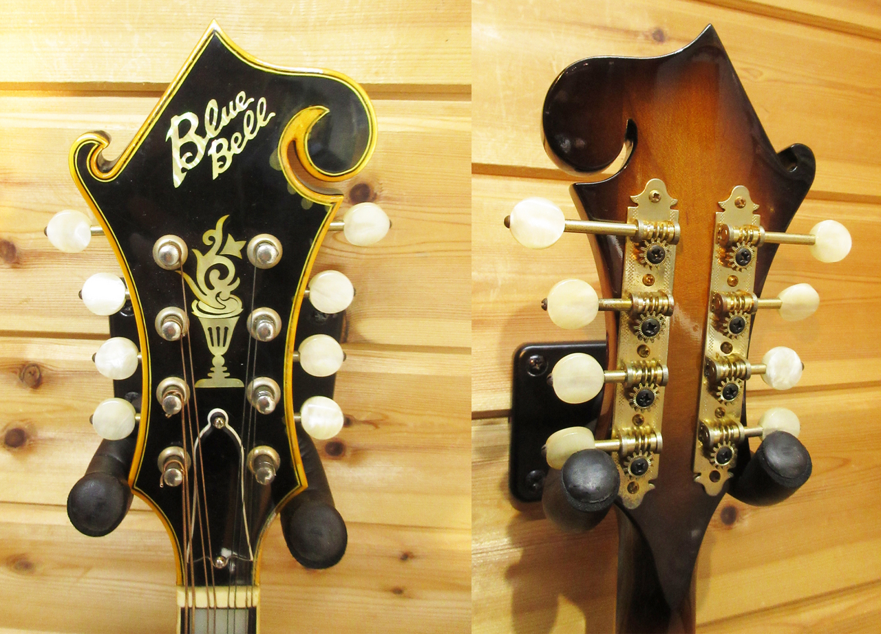 BlueBell F-8 【70年代】（ビンテージ）【楽器検索デジマート】