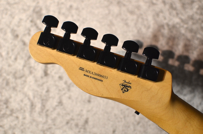 Fender Limited Edition Player Fusion Telecaster HH Floyd Rose