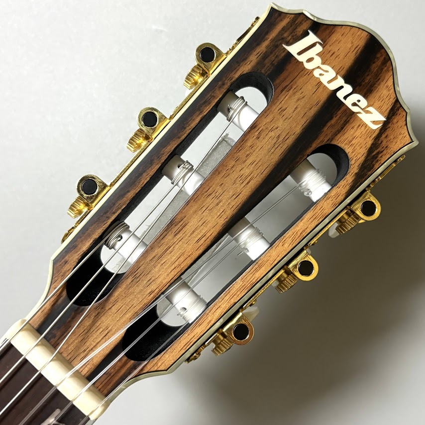 Ibanez TOD10N TKF エレガット Tim Henson Signature ティムヘンソン