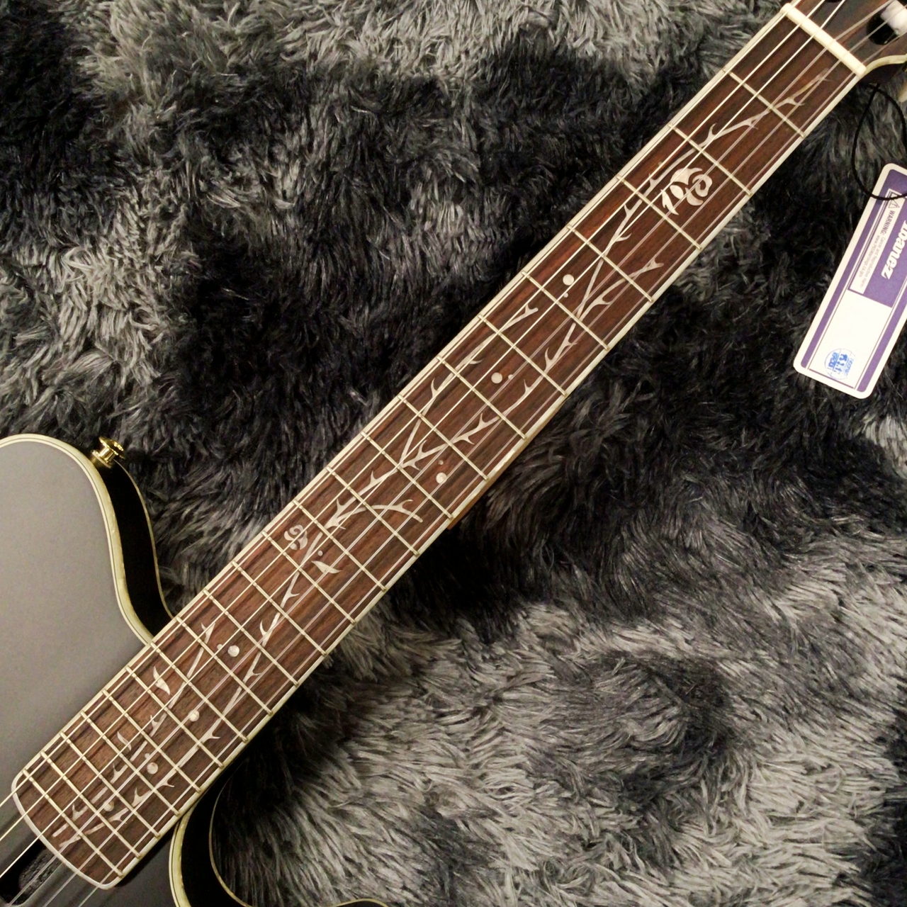 Ibanez TOD10N TKF エレガット Tim Henson Amazon | IBANEZ TOD10N-TKF Tim Henson Signature Model