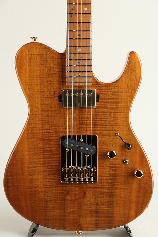 FUJIGEN(FGN) Expert ILIAD EW2-HS-RM / Vintage Natural【S/N H250486