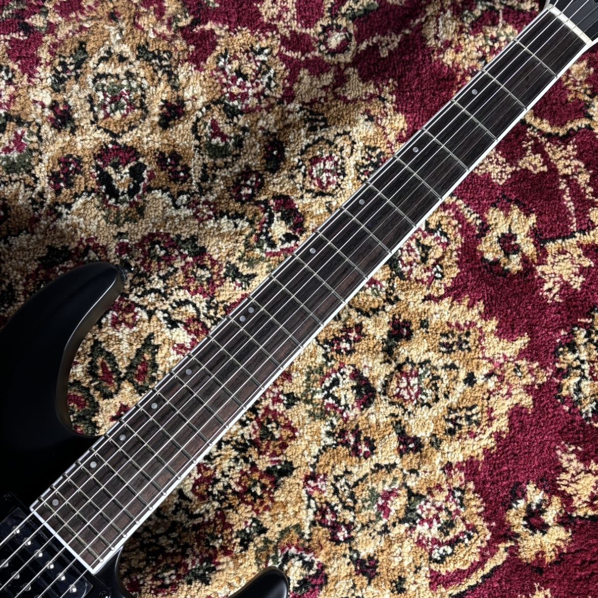 GrassRoots （グラスルーツ）G-HORIZON-FX エレキギター（新品