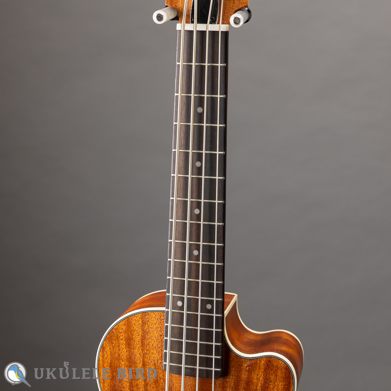 KALA U-BASS JYMN-FS ウクレレベース（新品/送料無料）【楽器