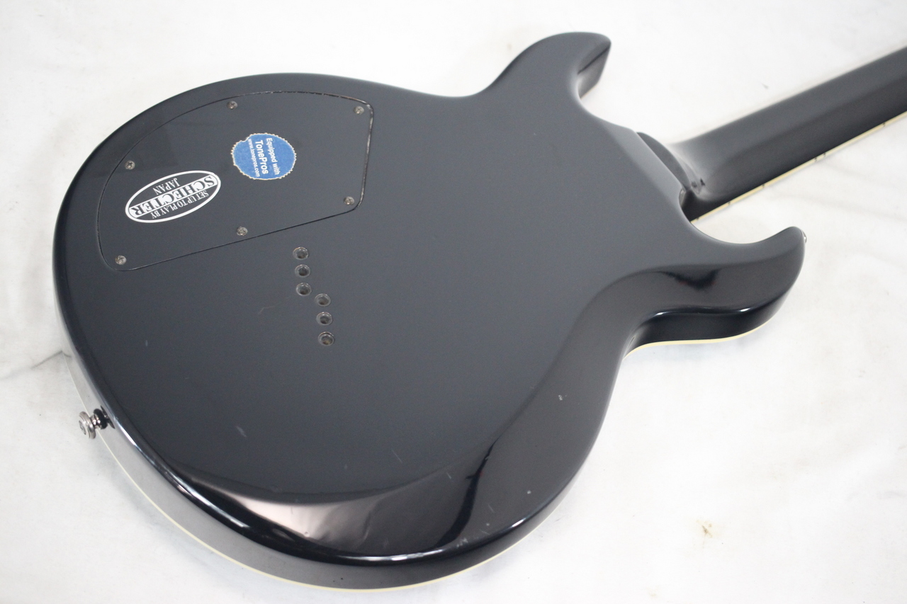 SCHECTER AD-DT-AT DEVIL TRIBAL（中古）【楽器検索デジマート】