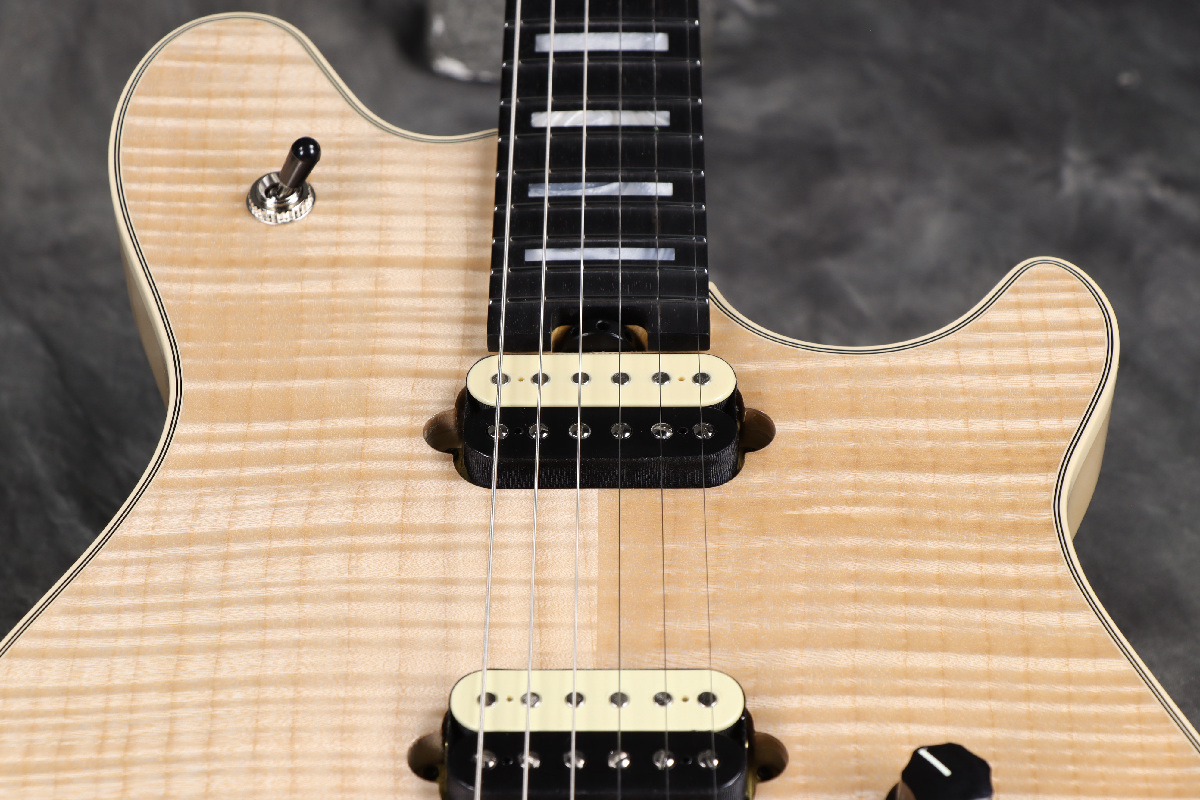 EVH Wolfgang USA Ebony Fingerboard 5A Flame Top Natural【3.56kg