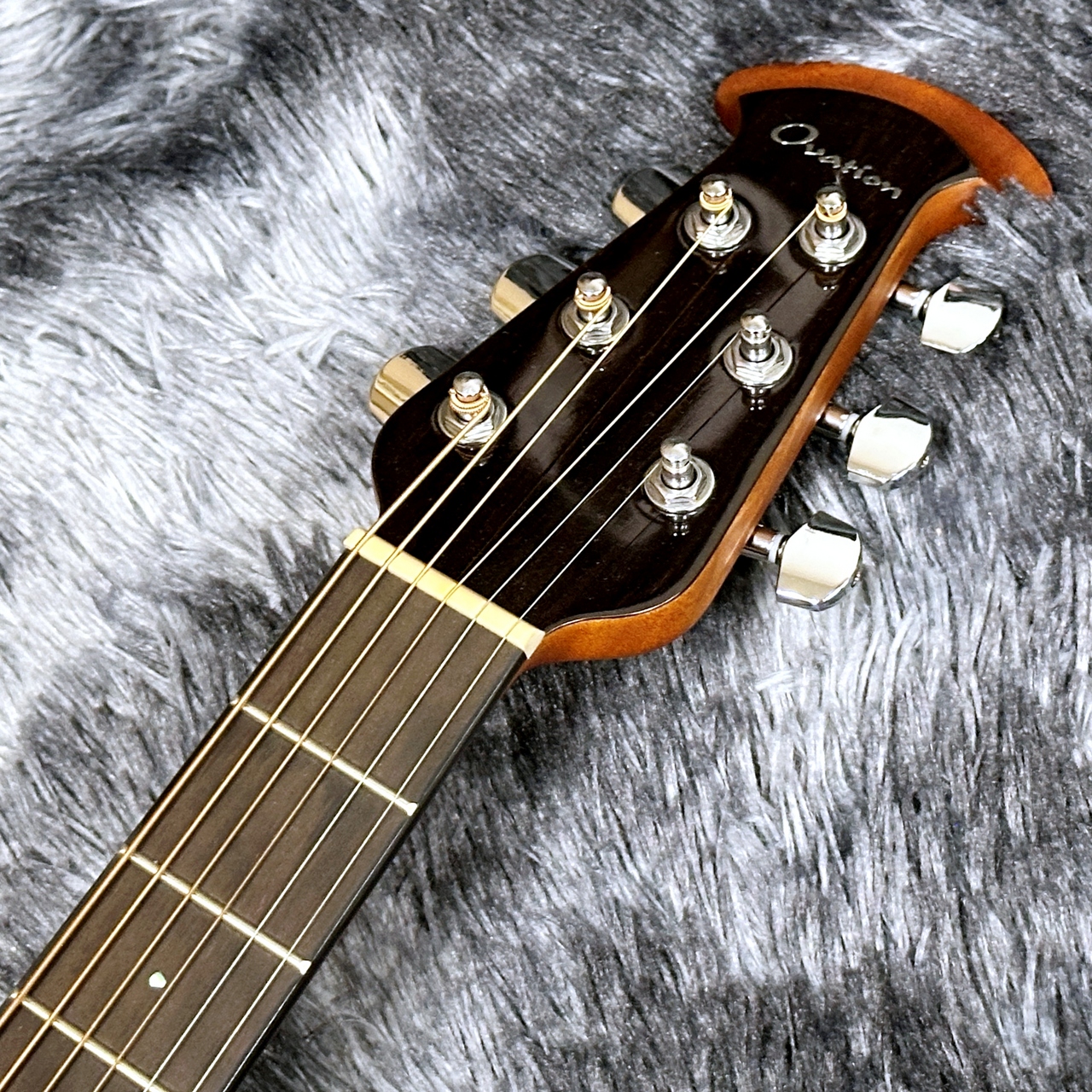 超激レア★帯付き★CD★CANTA ★Green Horn 楽天市場】限定カラー Zemaitis AAJ-3000HW-E Green Burst