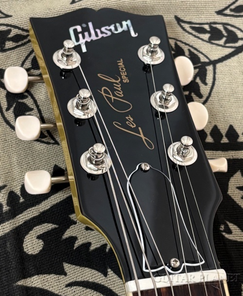 Gibson Les Paul Special -TV Yellow-【#215660278】【3.57kg】（新品