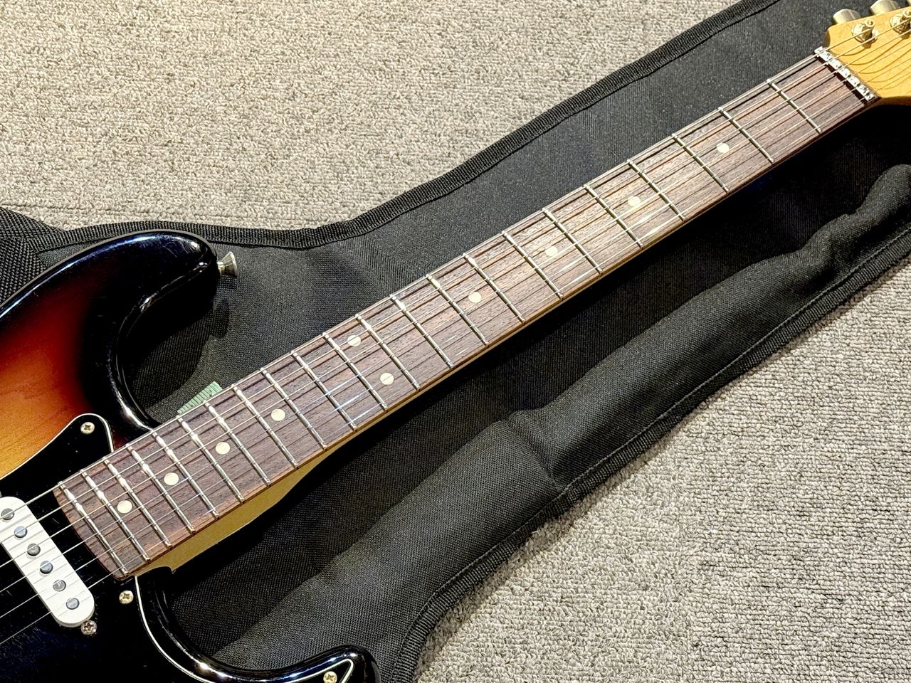 Seymour Duncan Traditional Series DS-95L（中古）【楽器検索デジマート】