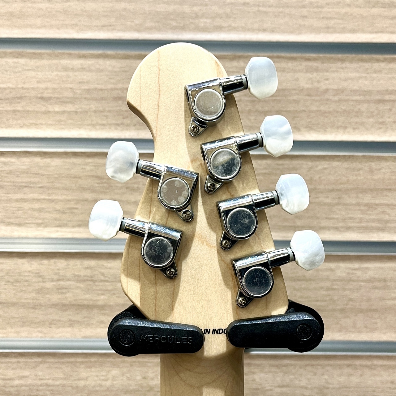 Sterling by MUSIC MAN AX40 / Trans Gold【最終入荷!!】（新品