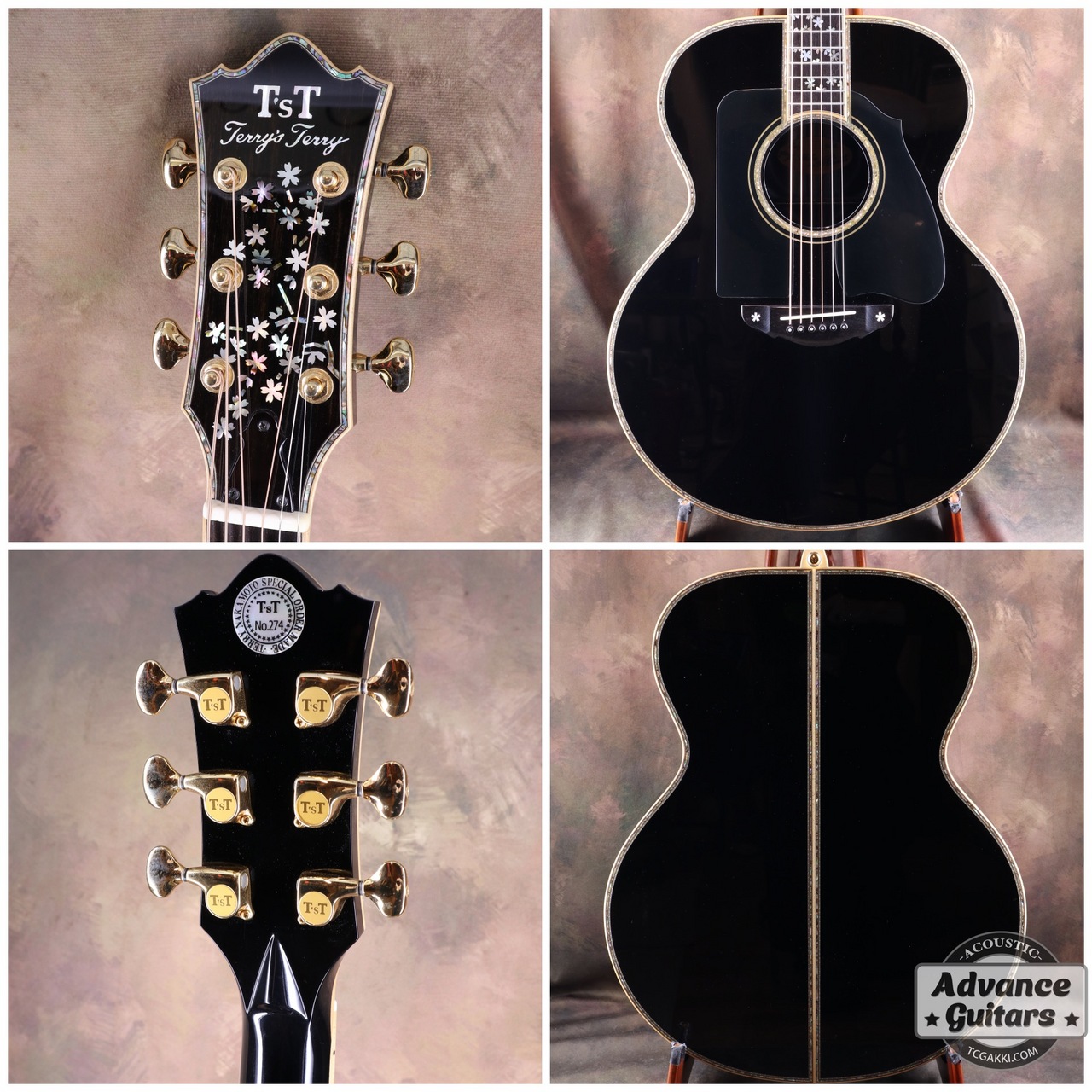 Terry's Terry 2005年製 TCJ-100 [YouTubeあり]（中古）【楽器検索