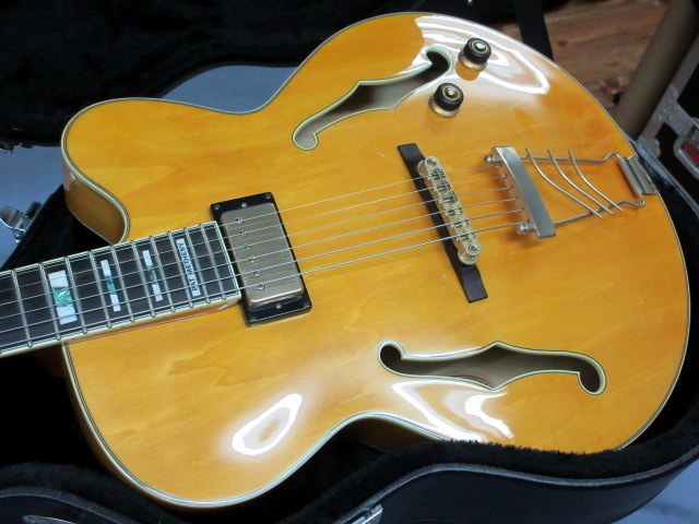 Ibanez PM2-AA-12-02 Pat Metheny / Antique Amber（中古）【楽器検索