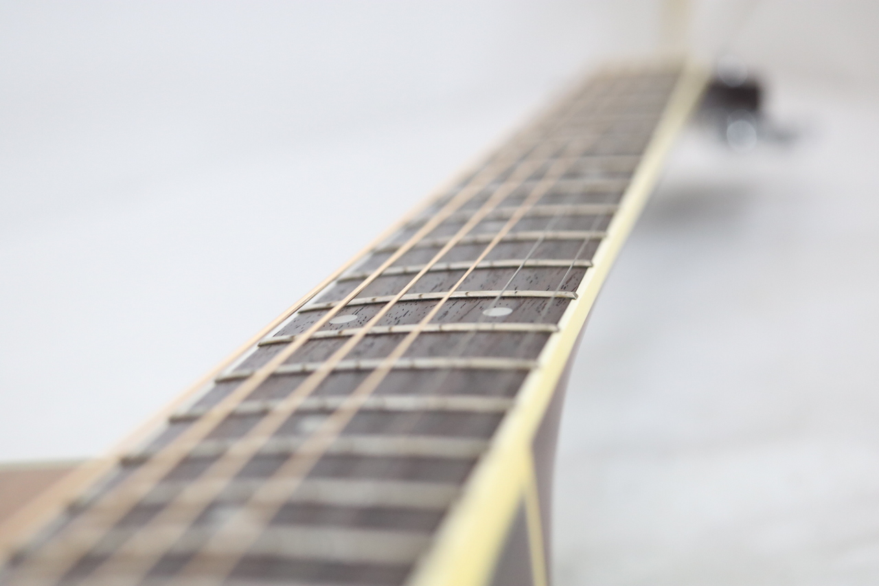 Takamine NPT-510（中古）【楽器検索デジマート】