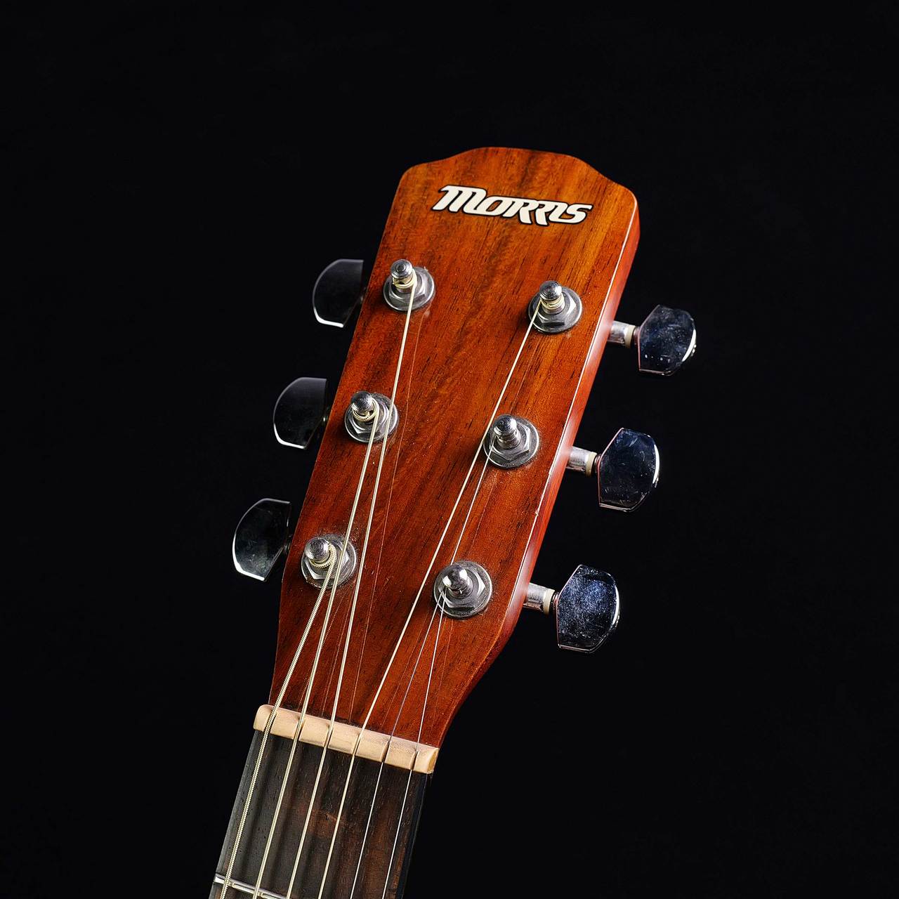 Morris ドレッドノートボディアコースティックギター M-01NAT Morris ドレッドノートボディアコースティックギター M-01NAT