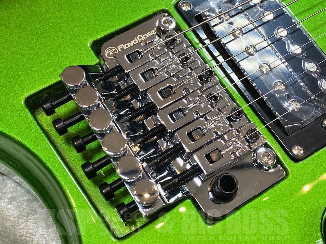 Killer KG-Exploder SE【Viper Green】（新品/送料無料）【楽器検索