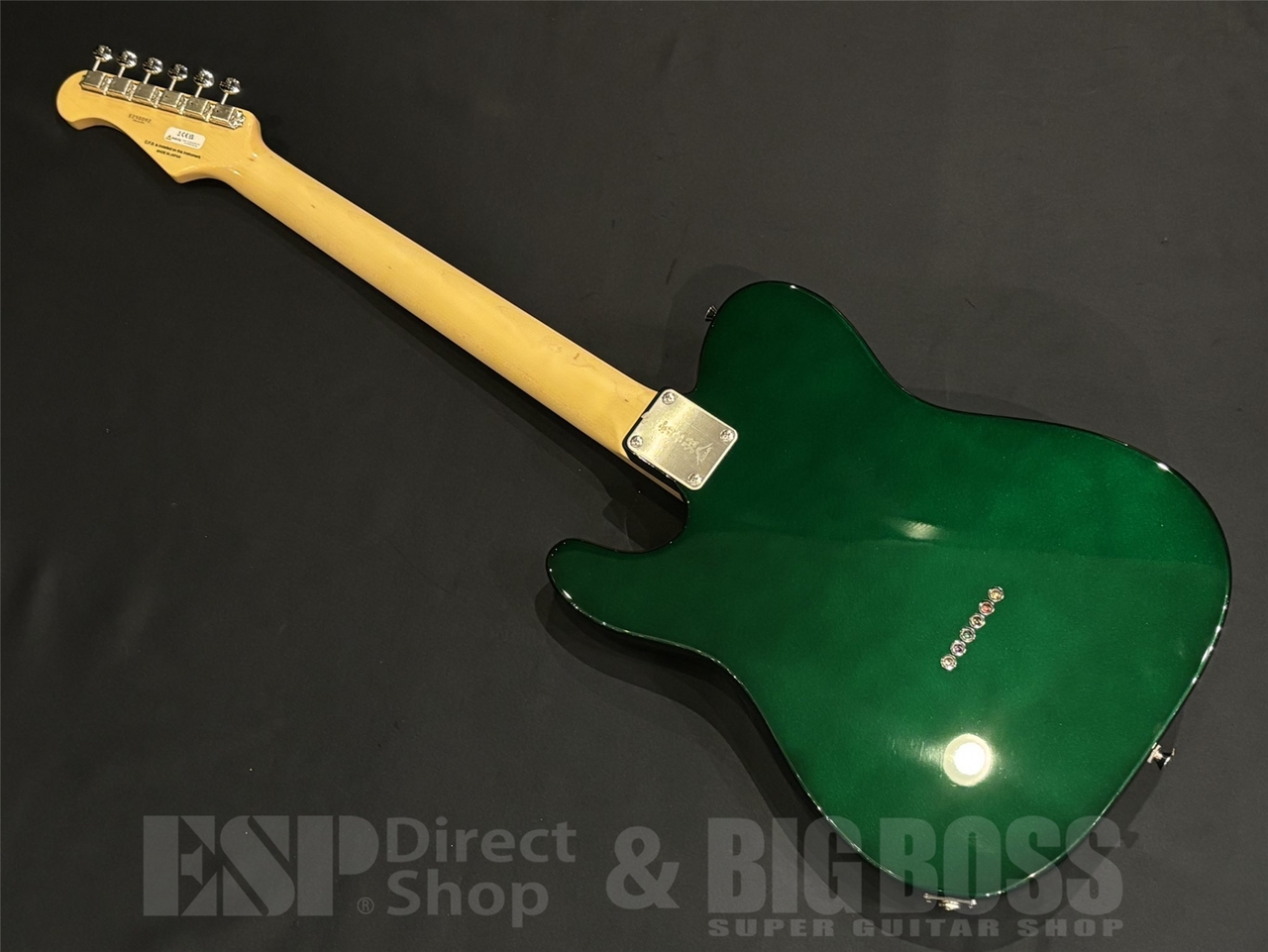 FUJIGEN(FGN) NTE100RAL / Candy Apple Green（新品/送料無料）【楽器