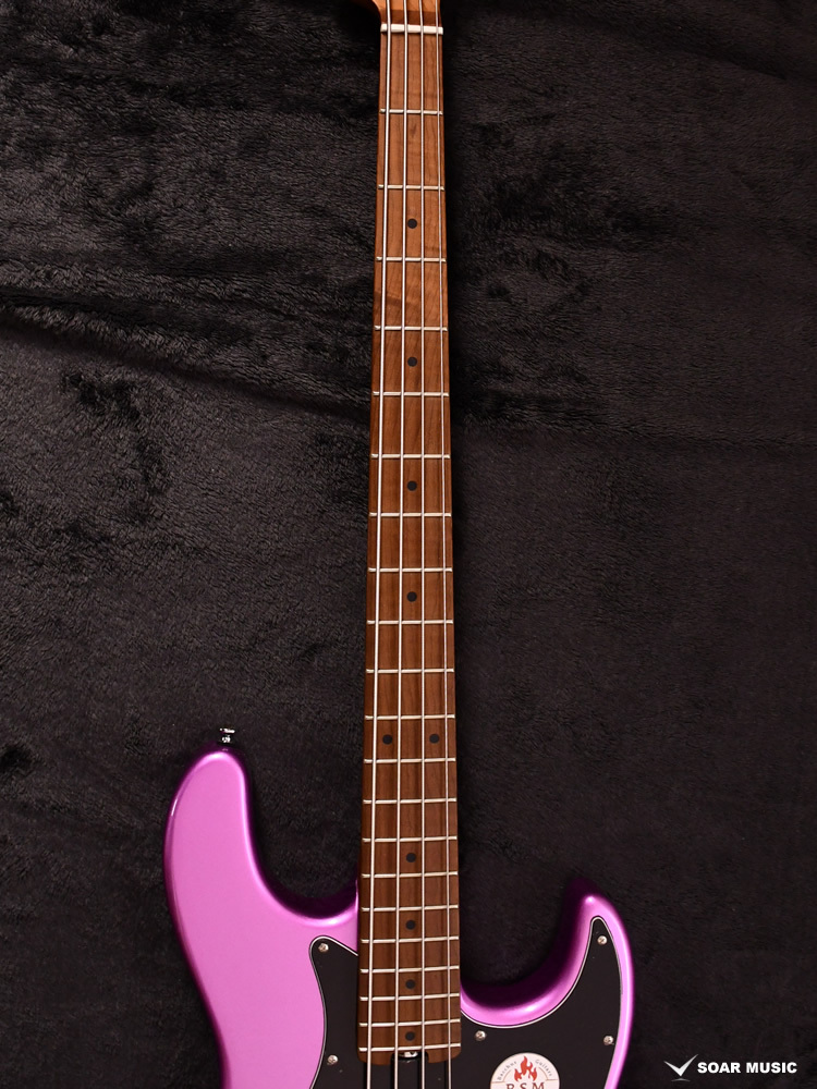 Bacchus バッカス WL4-STD/RSM APL(アメジストパープル) #GI20202 約