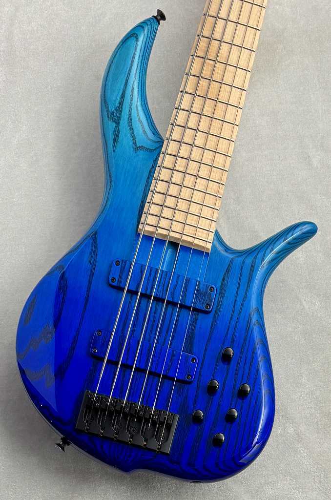 試奏レポート “F bass Custom BN-6” | Do you do a “low life”?