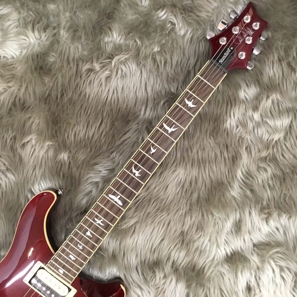 Paul Reed Smith(PRS) SE STANDARD 24 エレキギター（新品/送料無料