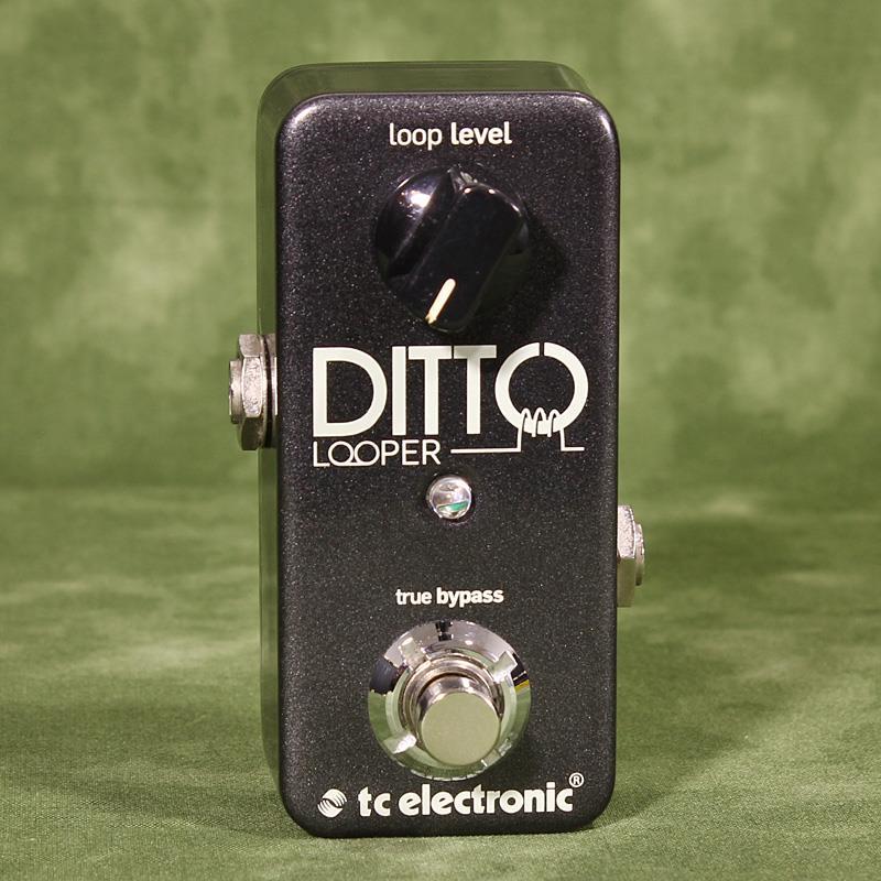 tc electronic USED 中古 DITTO LOOPER（中古）【楽器検索デジマート】