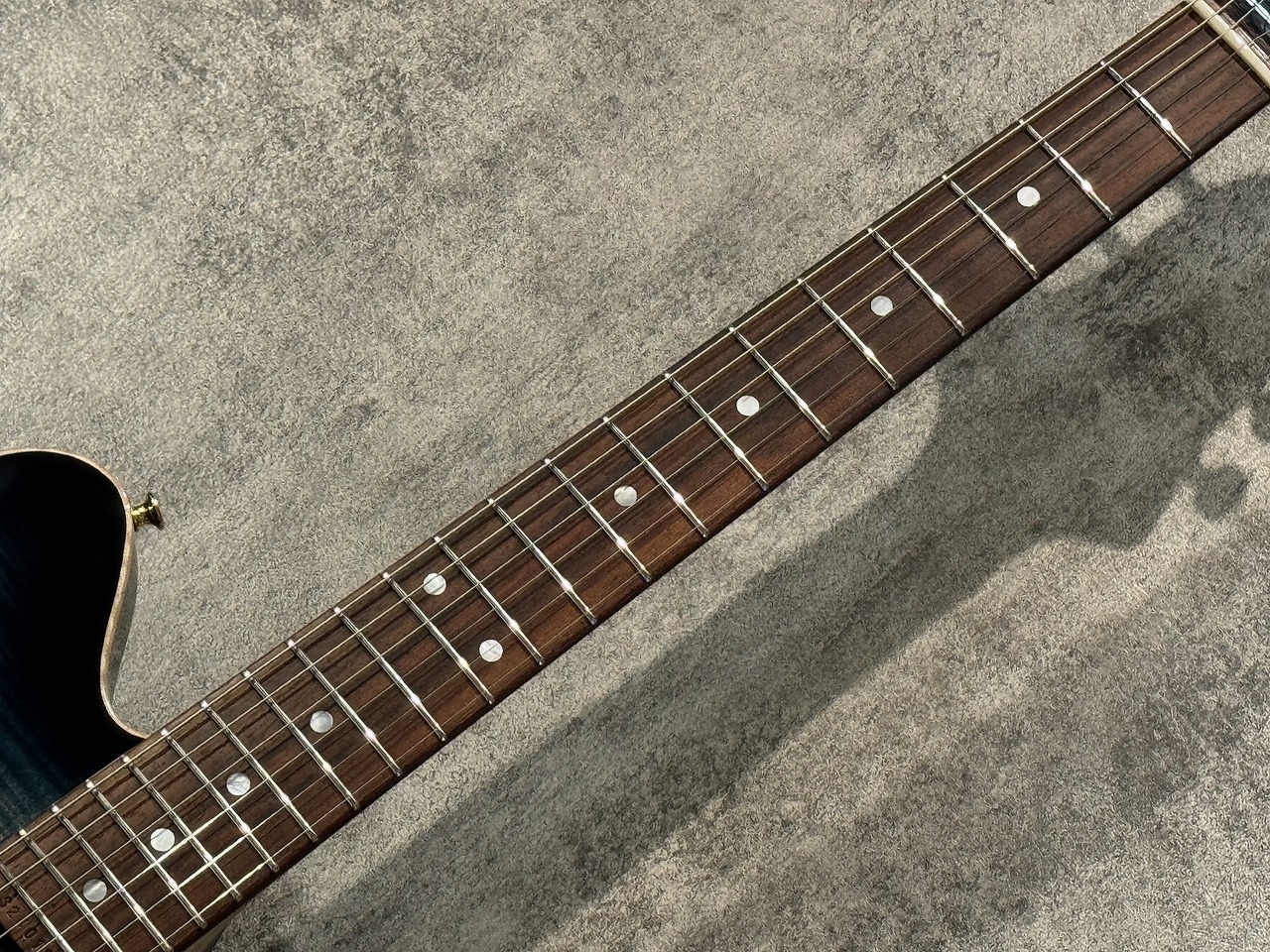 Sugi Kurosawa Custom Order DS496IR FM-EX/HM/ASH DOBB【3.63kg