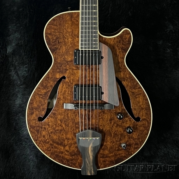 Kikuchi Guitars JF15 2HB Imbuia Burl (2025-2026 Limited Model