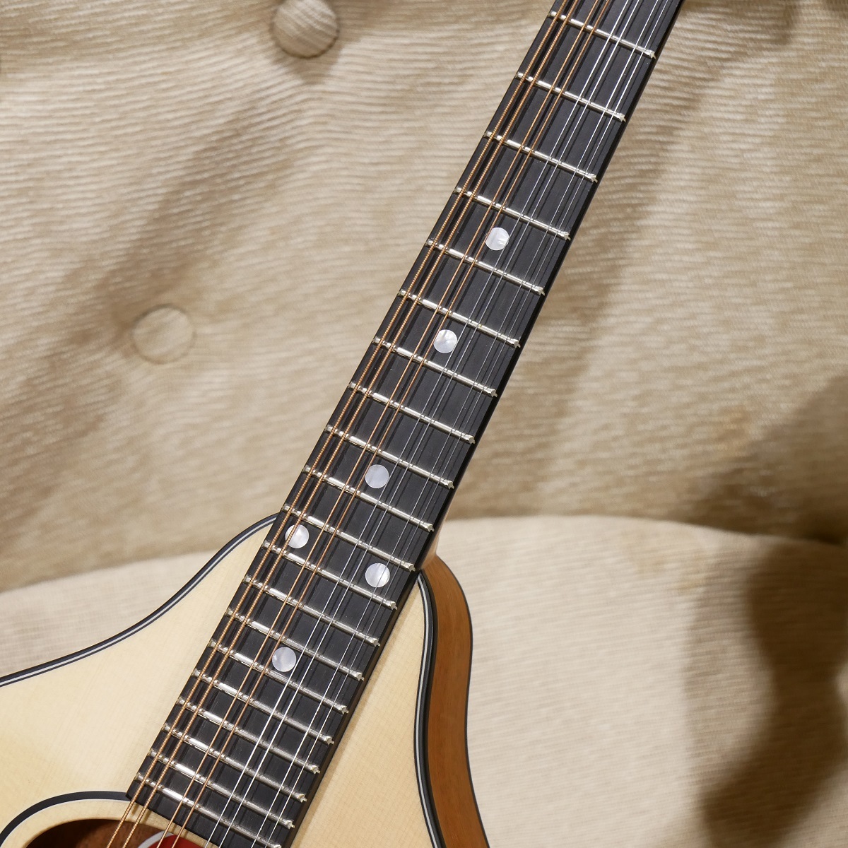 イーストマン Eastman Aスタイルのフラットマンドリン Eastman MD-505 