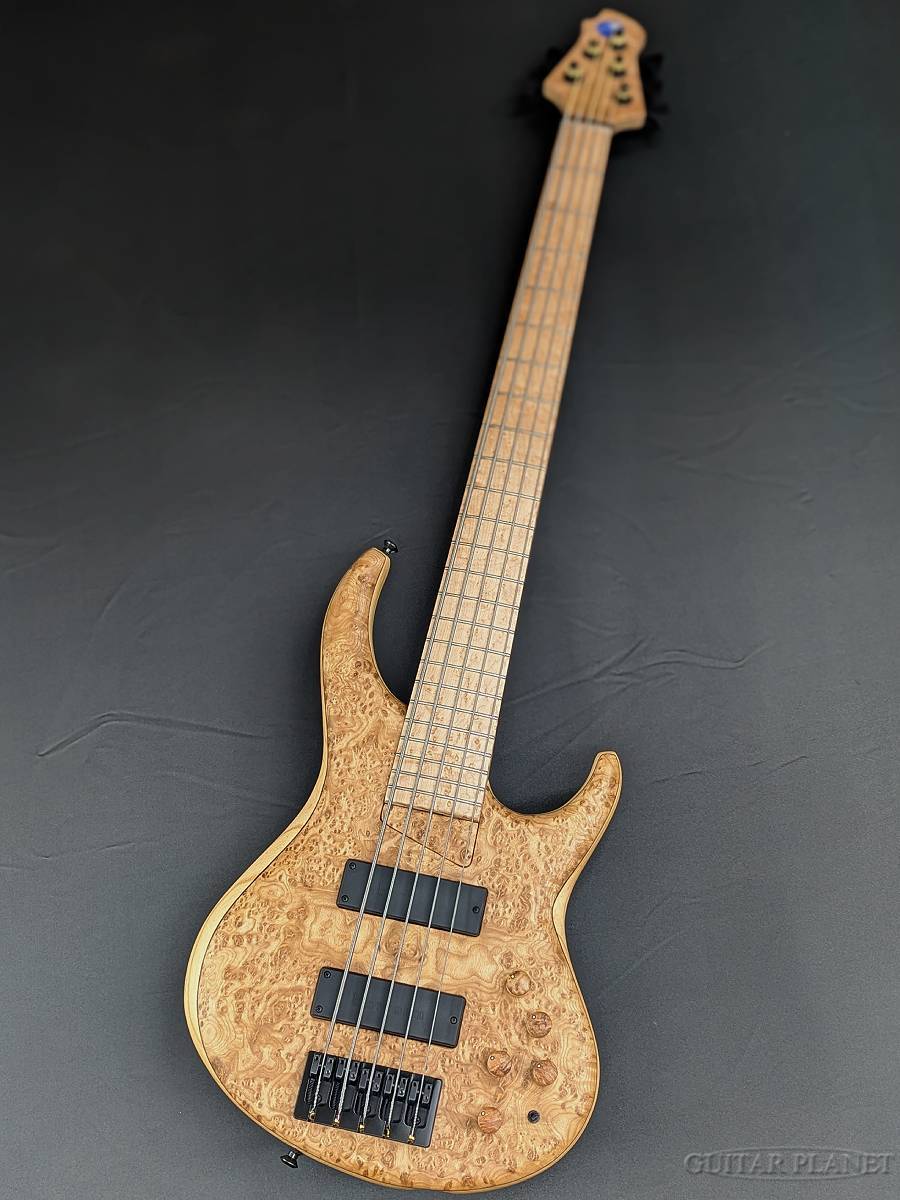 MTD 535-24 -Burl Ash Top/Ash Back-【2026 NAMM Model】（新品
