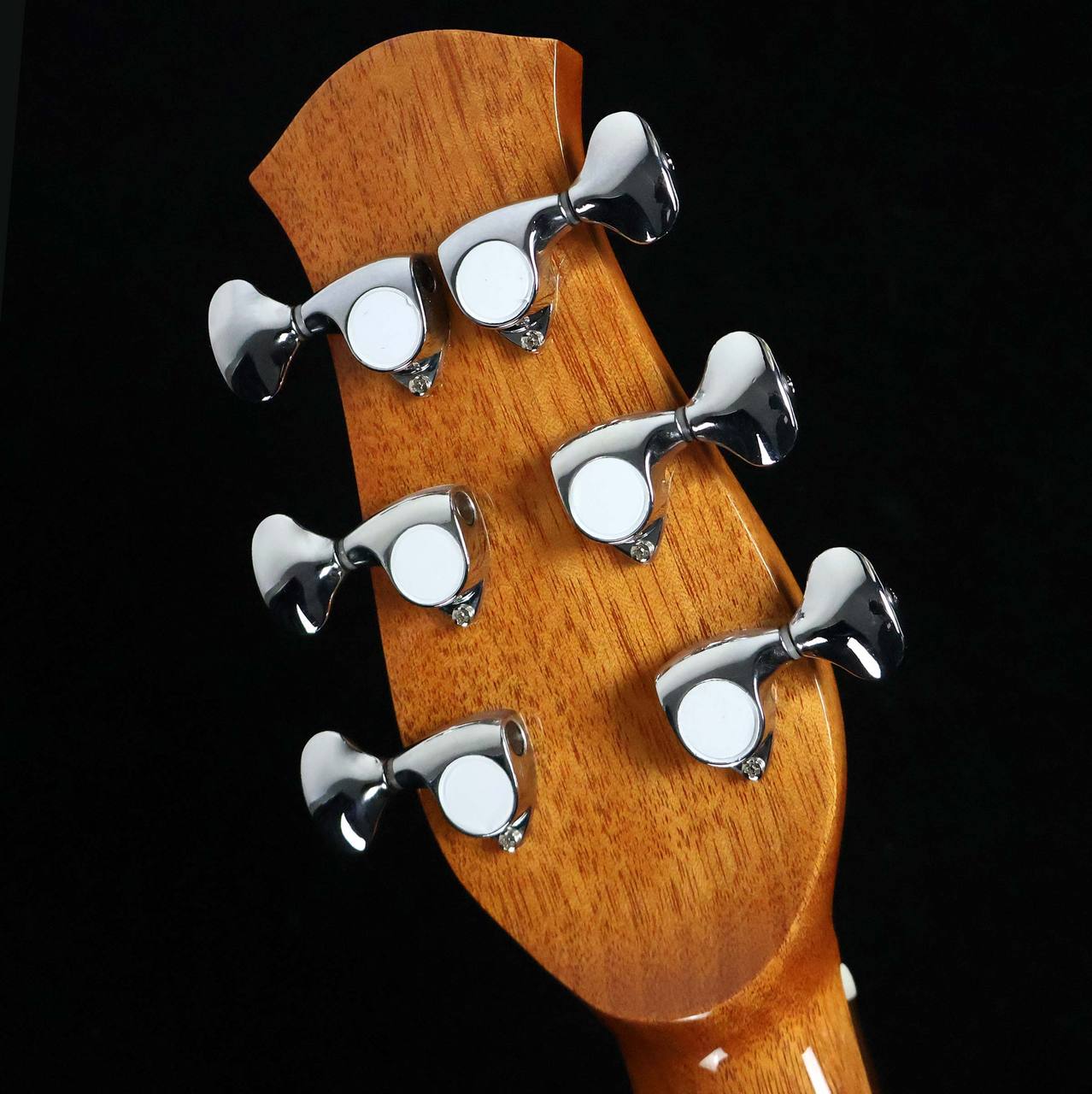 aNueNue LF23E (エレアコモデル) 美品 aNueNue aNN-LF23E S/N：AN04121 【エレアコ】 【未展示品】（新品