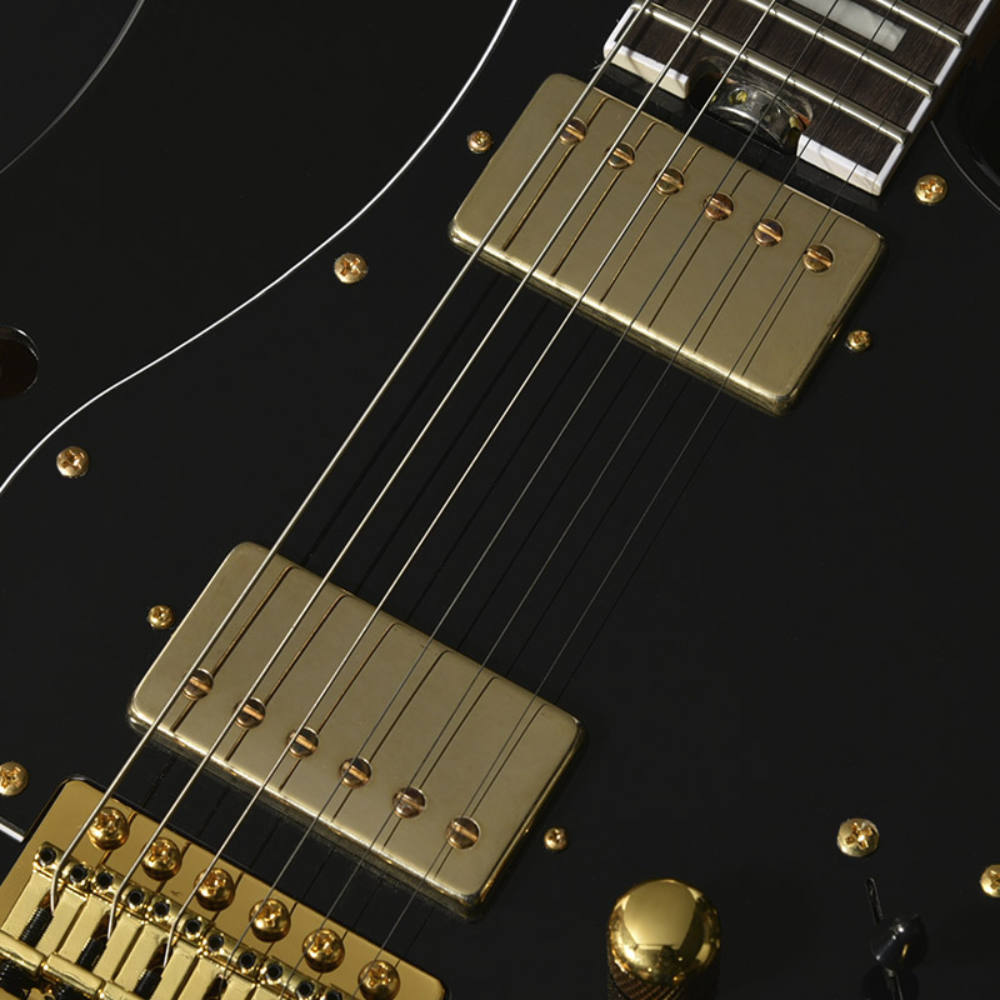 Bacchus バッカス Global Series GS-HOLLOW-CTM BLK エレキギター