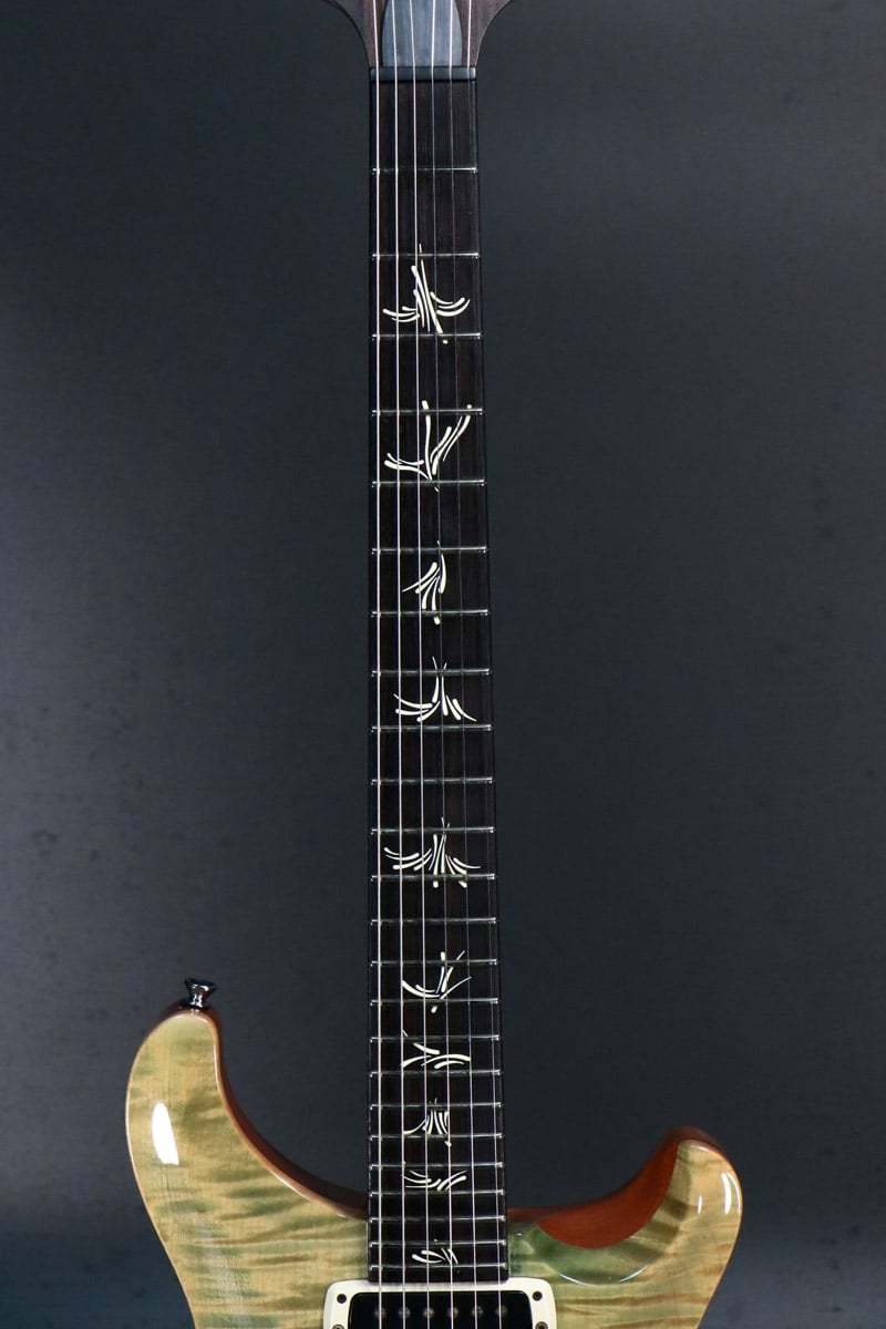 Paul Reed Smith(PRS) Brushstroke 24 LTD 10-Top Aquableux