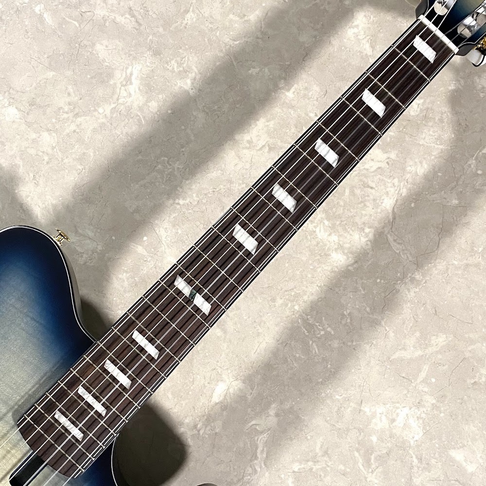 Ibanez FRH20FMN エレガットギター（新品/送料無料）【楽器検索