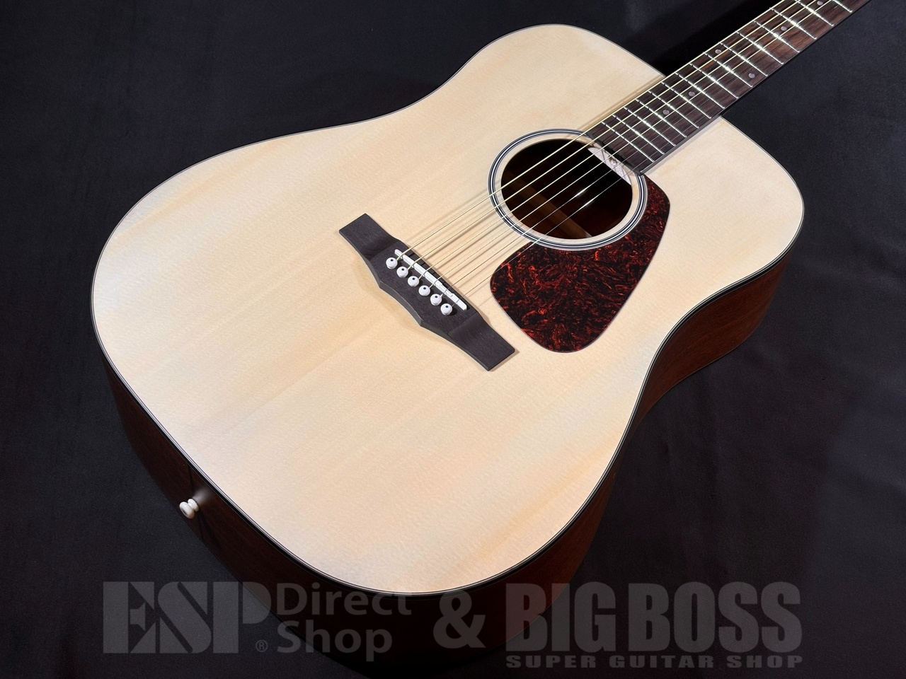 MORRIS M-01TS 2001年 極上 決定】MORRIS M-01TS 2001年 極上