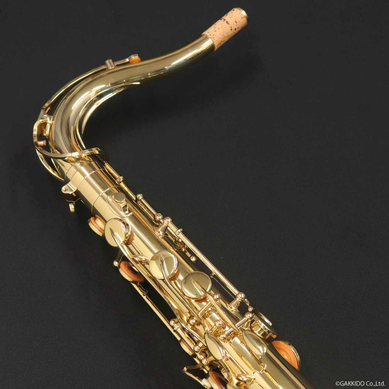 YANAGISAWA テナーサックス T-WO1（新品/送料無料）【楽器検索デジマート】
