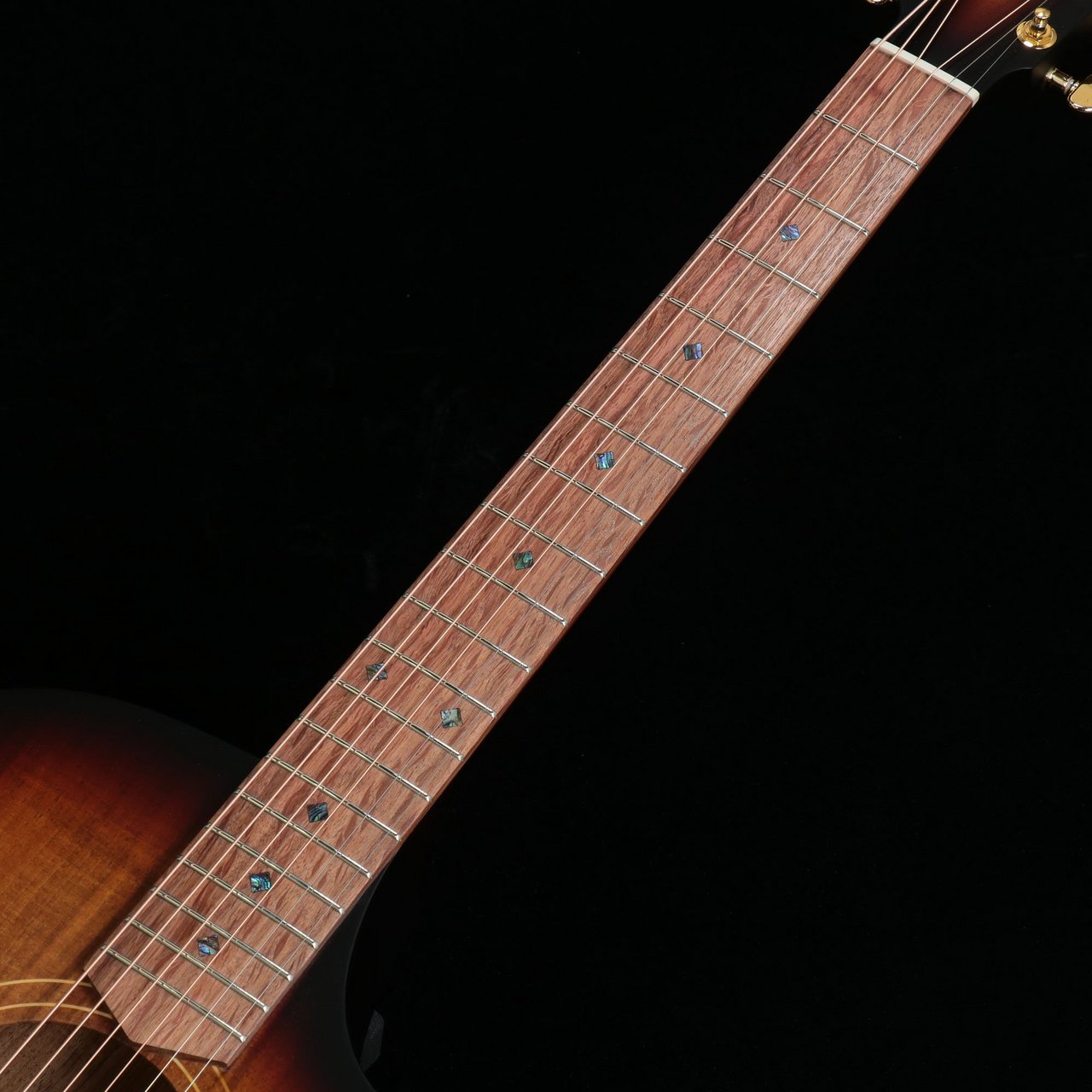 Cole Clark TL Thinline CCTL2EC-BLBL-BSUN All Australian