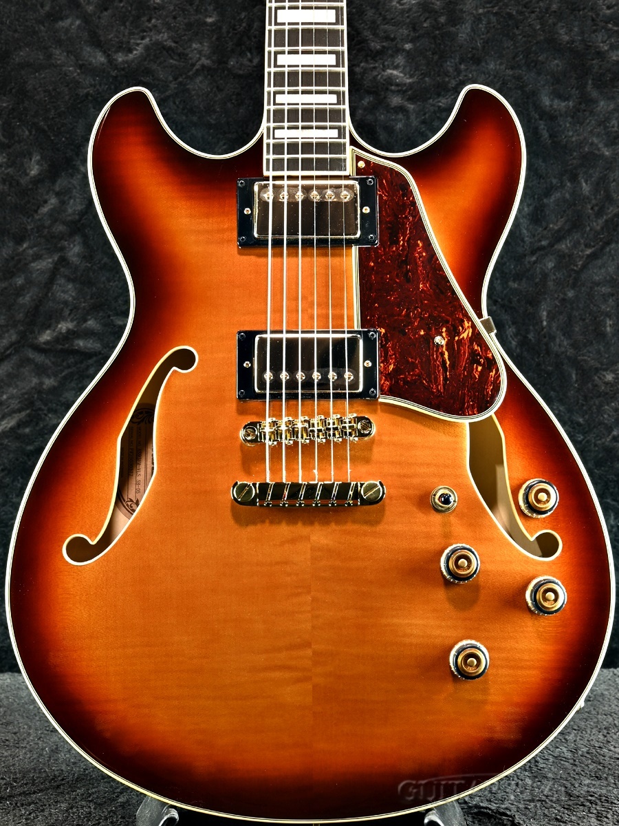 Ibanez セミアコ　AS93FM-VLS AS93FM | AS | HOLLOW BODIES | PRODUCTS | Ibanez guitars