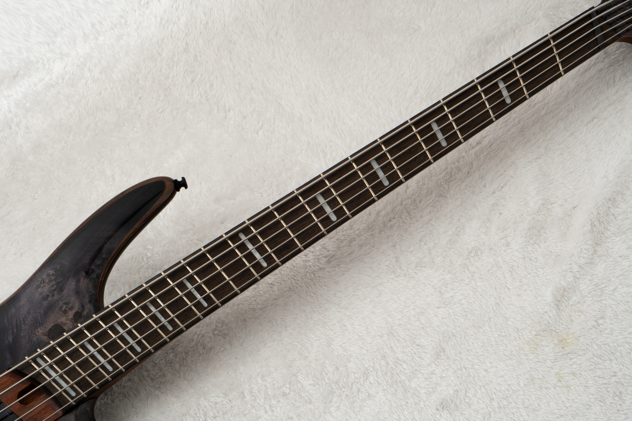 Ibanez SRMS805 -Deep Twilight / DTW- #260505183 [4.04kg]（新品