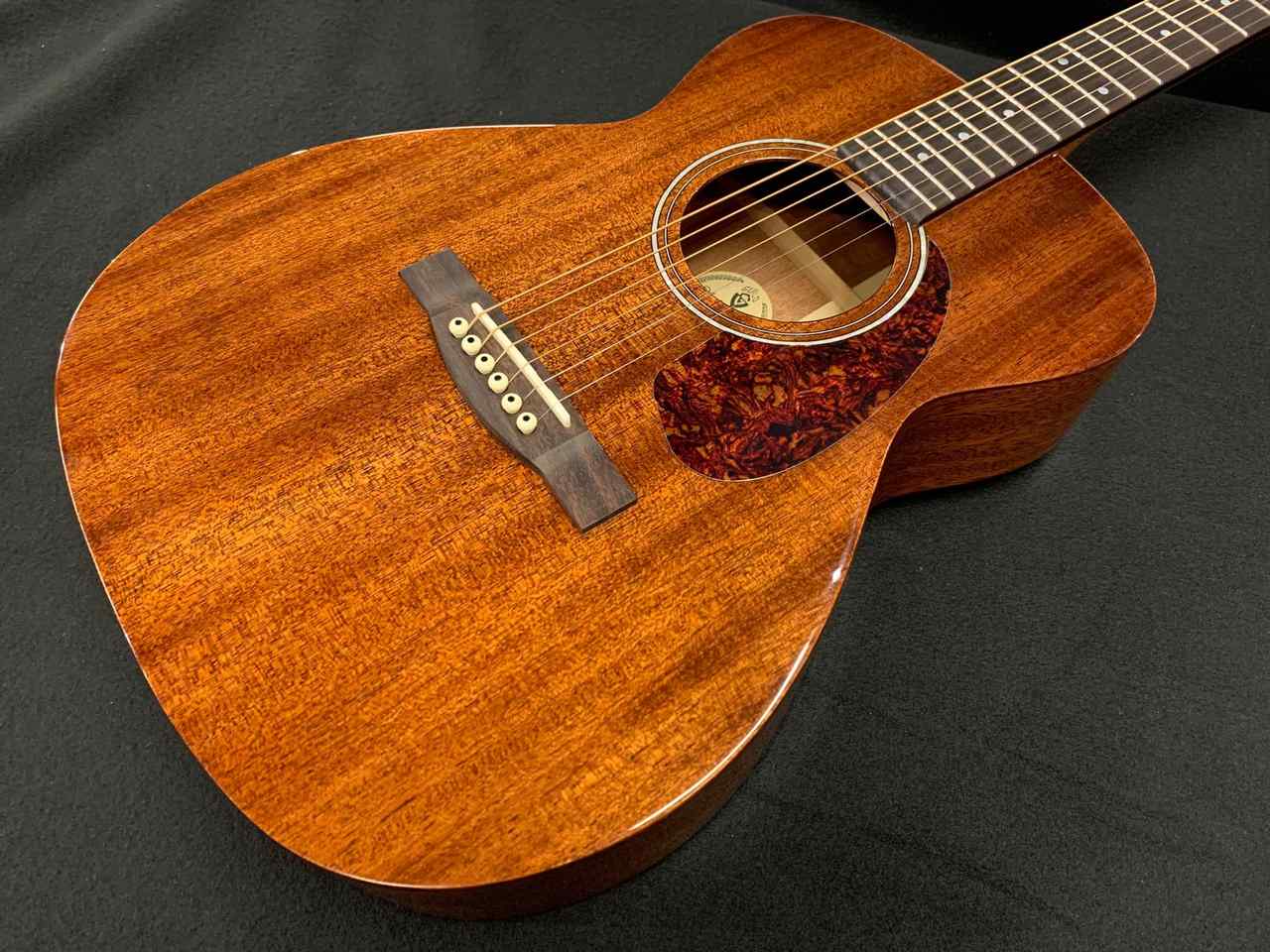 GUILD -The Westerly Collection- M-120 Natural（新品）【楽器検索