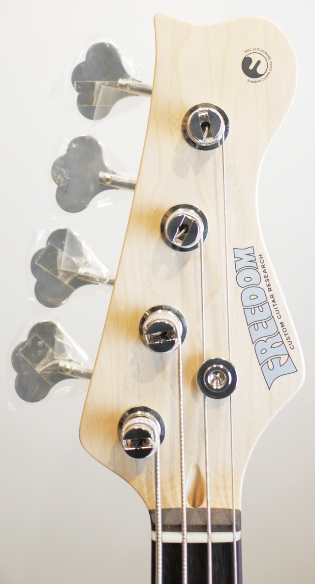 FREEDOM CUSTOM GUITAR RESEARCH C.S. Blowzer 4st Mummy（新品