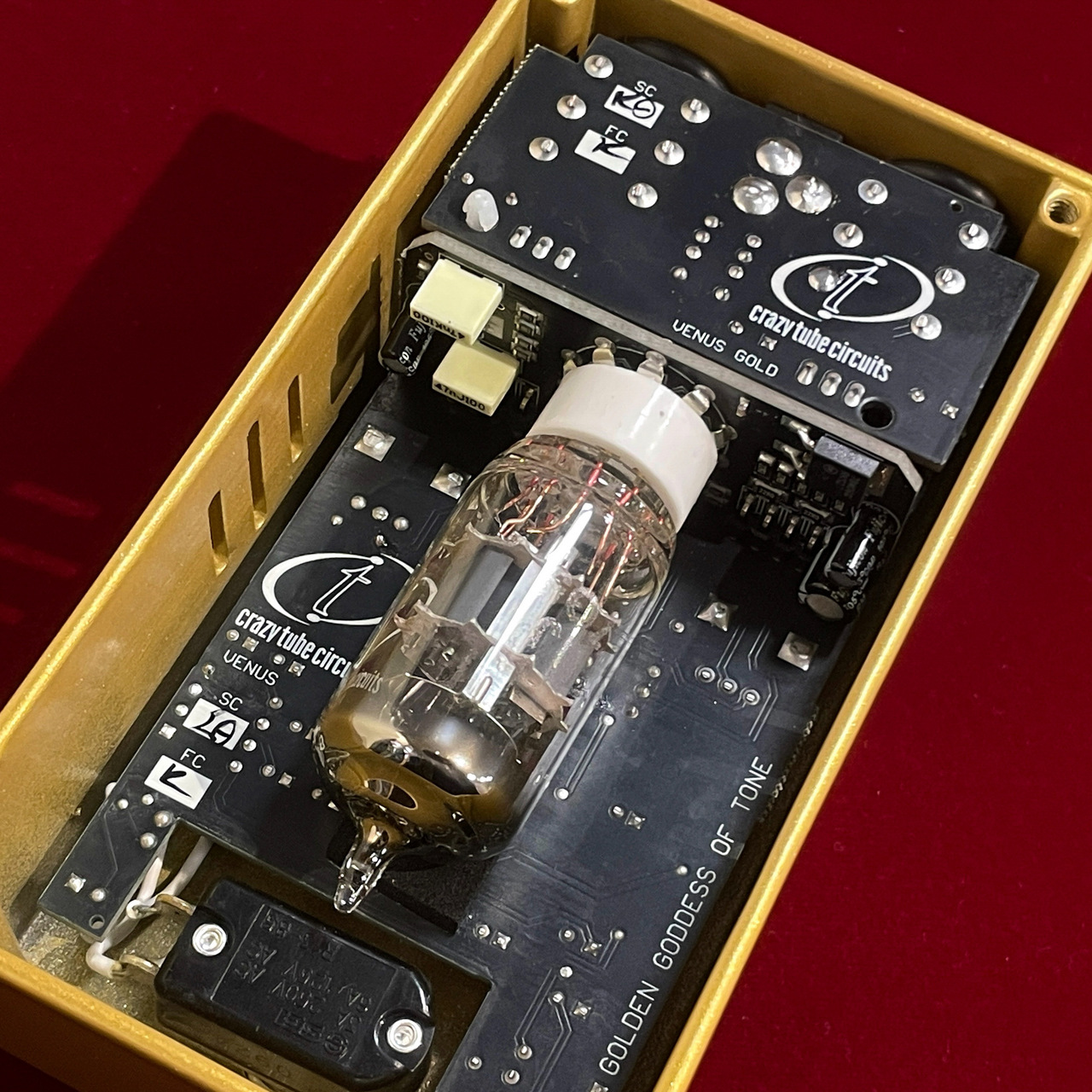 Crazy Tube Circuits Venus JAPAN Limited Edition 【日本限定50台の