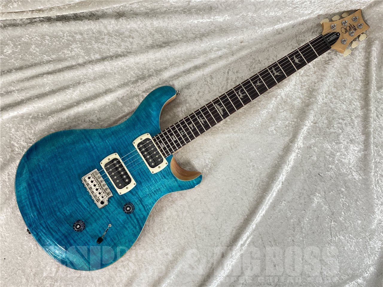 Paul Reed Smith(PRS) SE Custom 24 (Blue Matteo / Natural Back