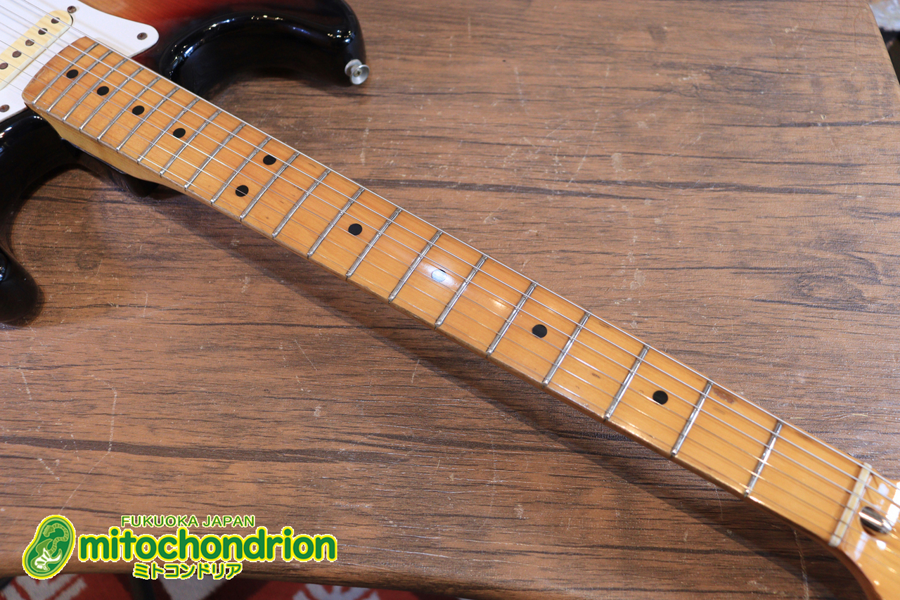 Tokai Thunderbird Type Sun Burst - Geek IN Box