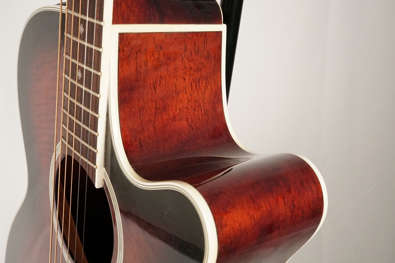 Takamine DSP-110 MOD【USED】（中古）【楽器検索デジマート】