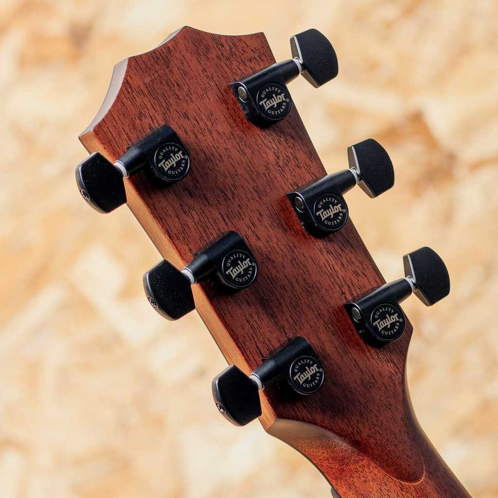 ギター Taylor 324ce Taylor Builder's Edition 324ce | Grand Auditorium | V-Class