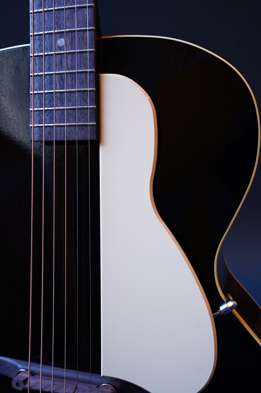 Stringphonic JazzBlues（新品/送料無料）【楽器検索デジマート】