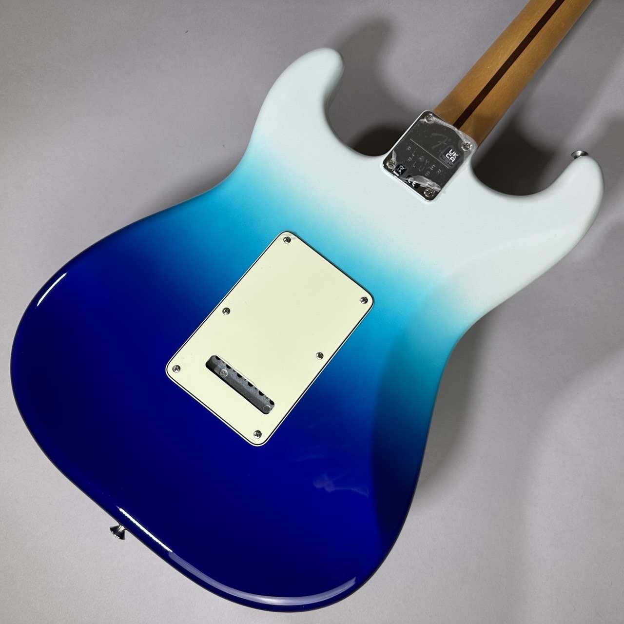 Fender Player Plus Stratocaster HSS Pau Ferro Fingerboard エレキ