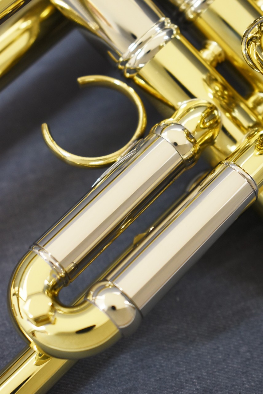 V.Bach AB190GL 