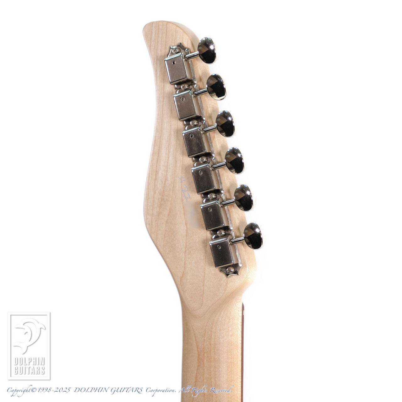 dragonfly M-TEE Custom (Open Pore 2TSB)（新品）【楽器検索デジマート】