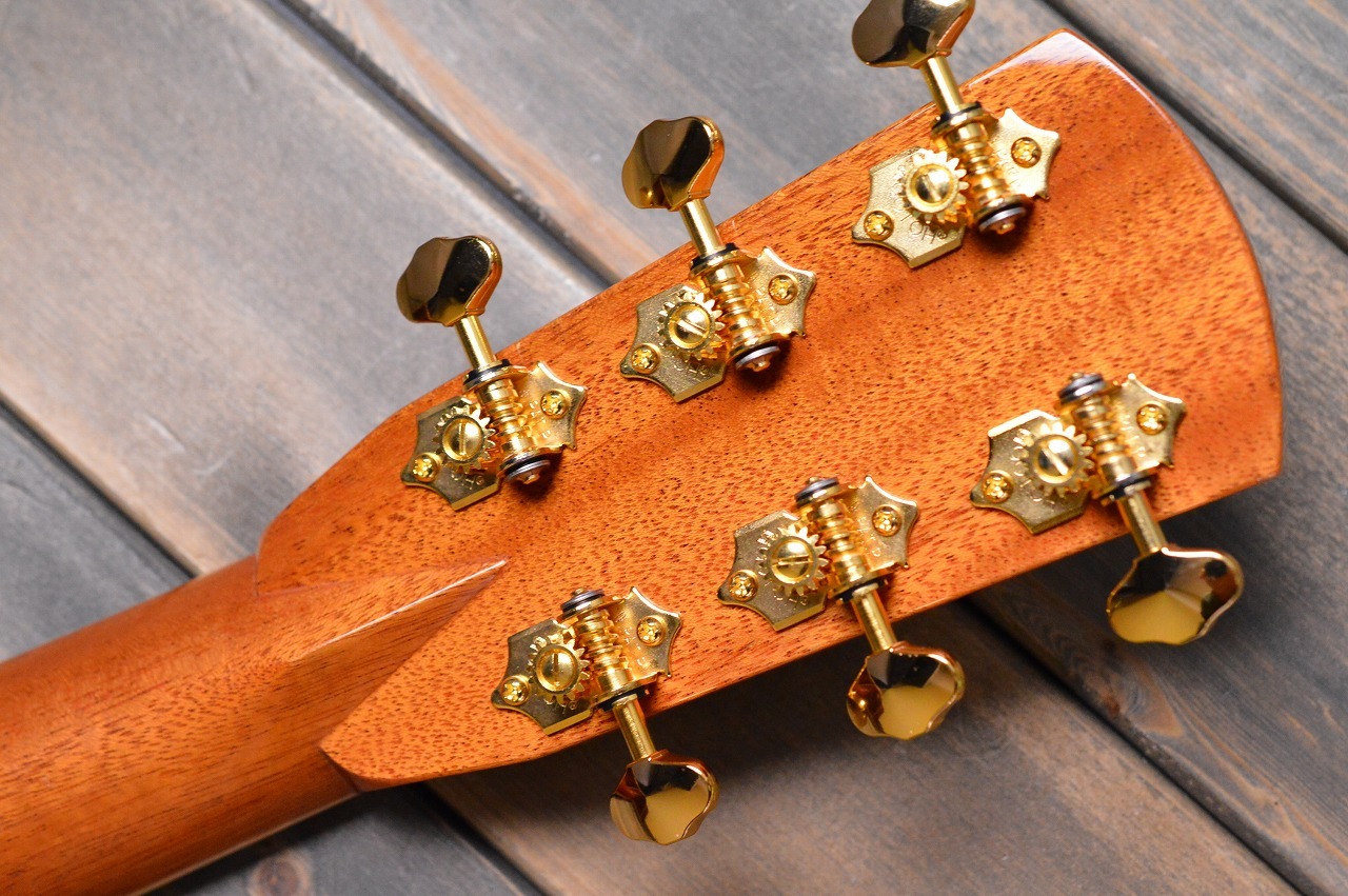 ASTURIAS TREE OF LIFE（新品特価/送料無料）【楽器検索デジマート】