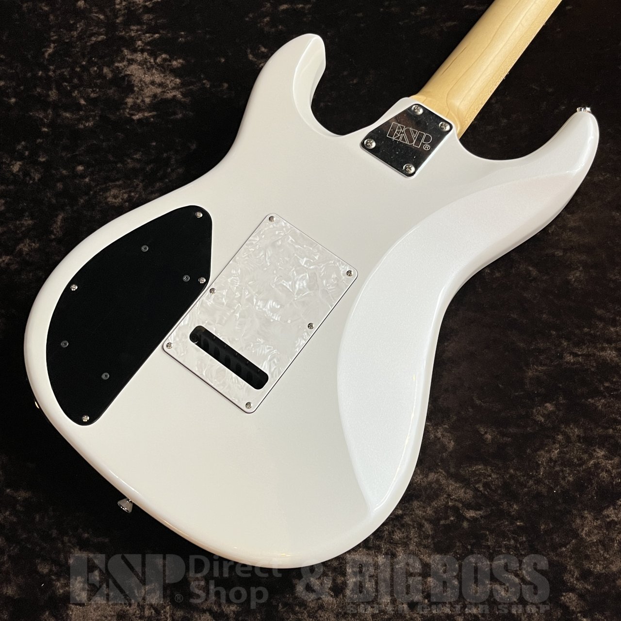 EDWARDS E-SNAPPER-GK-AL/R【Pearl White】（新品/送料無料）【楽器